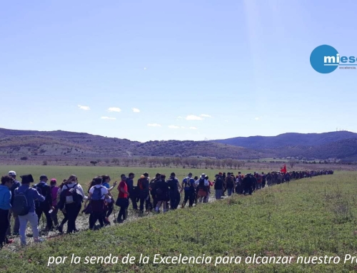 MIESES, QUIENES SOMOS Y QUE OFRECEMOS A LAS PYMES