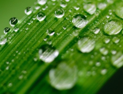 EL ORGULLO DE SER UNA PYME